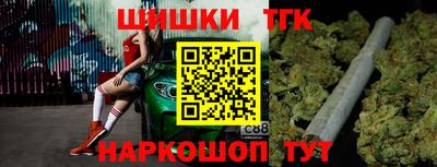 тгк Можга