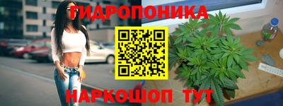 тгк Можга