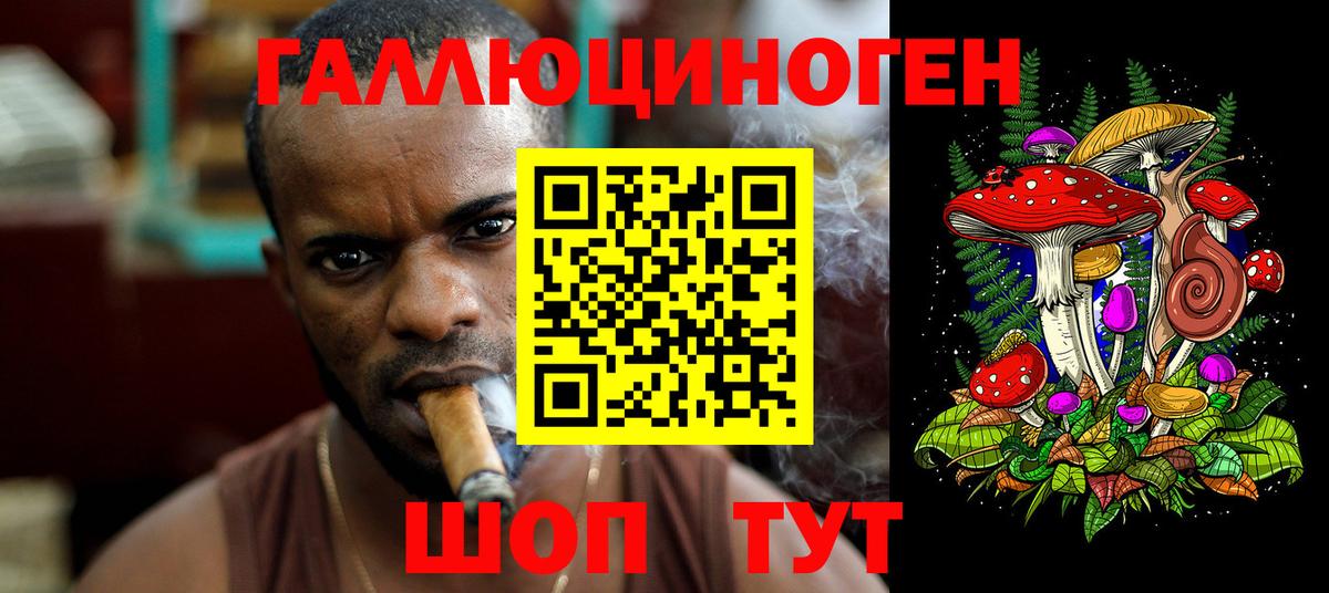 Псилоцибиновые грибы Psilocybe  Вход с VPN  Черногорск  Галлюциногенные грибы мухоморы 